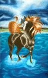 by The Black Stallion