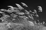 by Phil Armitage