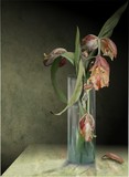 by derek cooper
