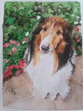 by Nancy Woodington