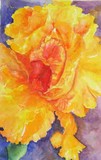 by Bev                  Chudey