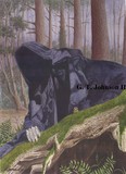 by Gerard Johnson II