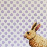 by Lucia Stewart