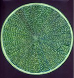 by Heather Warfield