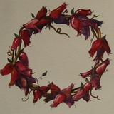 by Christy LaRoy