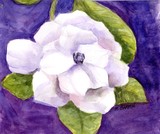 by Marilyn Barton