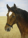 by Kathryn Lewis