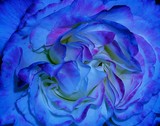 by Jeanne Santiago