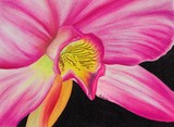 by Rebecca Langlois