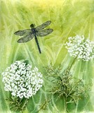 by Lorraine Yardy
