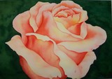 by Lori Azzolino