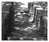 by Brighter Image Photography