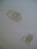 by lauren miller