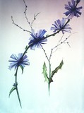 by michelle legere
