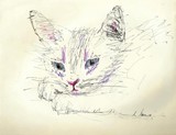 by Akber Moeen
