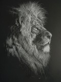 by Barbara Keith