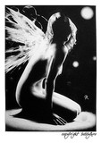 by bobby kro