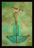 by announi abdelali