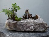 by Pedra Viva mini jardins