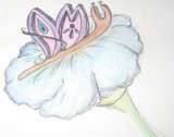 by christy manford
