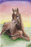 by Kim  Lawrie