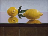 by Ton van Meerendonk