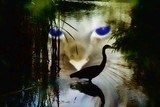 by Annette Labedzki