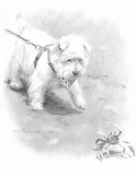 by mike theuer