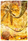 by Ropati Leaso-Cobb