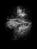 by Ropati Leaso-Cobb