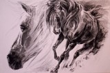 by els boedts