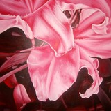 by Melanie Stevens
