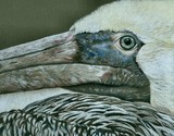 by Sherry Egger