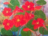 by Elizabeth Janus