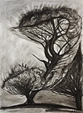 by Angela Marie Barnett