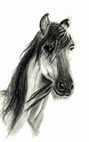 by linda lindall
