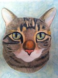 by judie cole