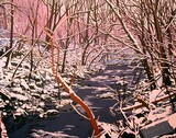 by Nick Aumiller