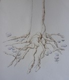 by Patricia Elgee