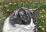 by Wendy Law