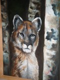by Dr Frank Lozano