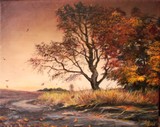 by Sorin Apostolescu