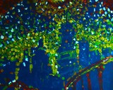 by Mark Kokopelli Watkins, Artist