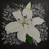 by Cathy Jordan