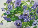 by Karen Park