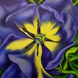 by Schuyler Rideout