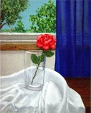 by Amani Al Hajeri