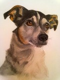 by Diane Leuzzi