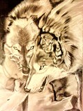 by moraima tinajero
