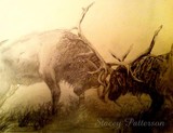 by Stacey Patterson